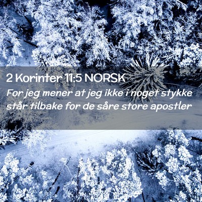 Picture 02 - 2 Korinter 11:5 NORSK - For jeg mener at jeg ikke i noget stykke står - Bible Verse Picture