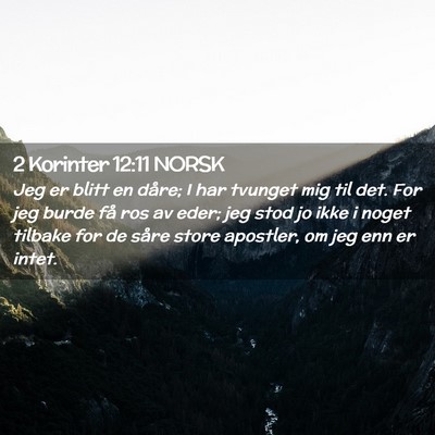 Picture 02 - 2 Korinter 12:11 NORSK - Jeg er blitt en dåre; I har tvunget mig til det. - Bible Verse Picture