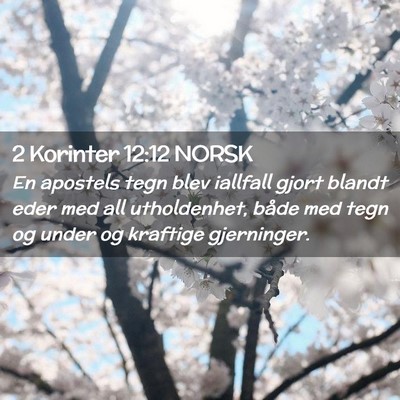 Picture 02 - 2 Korinter 12:12 NORSK - En apostels tegn blev iallfall gjort blandt eder - Bible Verse Picture