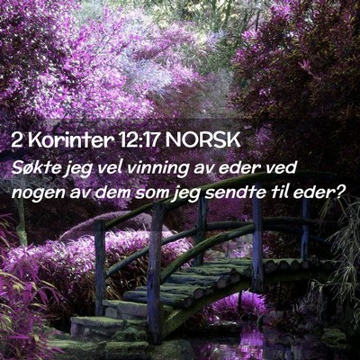 Picture 02 - 2 Korinter 12:17 NORSK - Søkte jeg vel vinning av eder ved nogen av dem - Bible Verse Picture