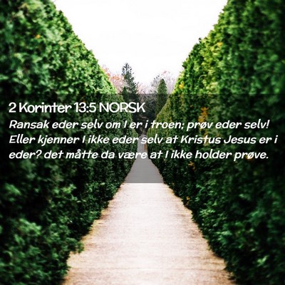 Picture 02 - 2 Korinter 13:5 NORSK - Ransak eder selv om I er i troen; prøv eder - Bible Verse Picture