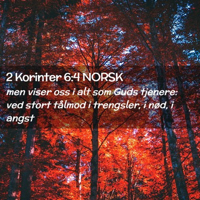 Picture 02 - 2 Korinter 6:4 NORSK - men viser oss i alt som Guds tjenere: ved stort - Bible Verse Picture