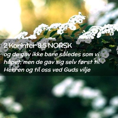 Picture 02 - 2 Korinter 8:5 NORSK - og de gav ikke bare således som vi håpet, men - Bible Verse Picture