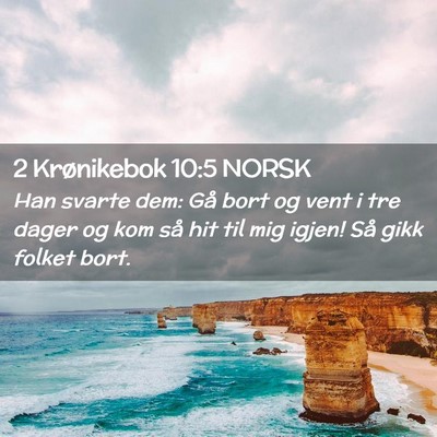 Picture 02 - 2 Krønikebok 10:5 NORSK - Han svarte dem: Gå bort og vent i tre dager og - Bible Verse Picture