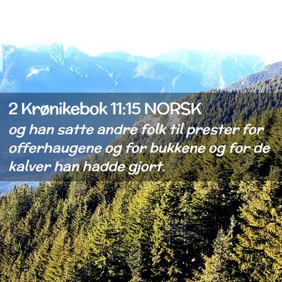 Picture 02 - 2 Krønikebok 11:15 NORSK - og han satte andre folk til prester for - Bible Verse Picture