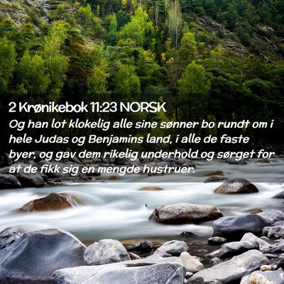 Picture 02 - 2 Krønikebok 11:23 NORSK - Og han lot klokelig alle sine sønner bo rundt om - Bible Verse Picture