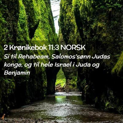 Picture 02 - 2 Krønikebok 11:3 NORSK - Si til Rehabeam, Salomos'sønn Judas konge, og - Bible Verse Picture
