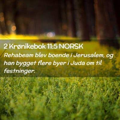 Picture 02 - 2 Krønikebok 11:5 NORSK - Rehabeam blev boende i Jerusalem, og han bygget - Bible Verse Picture