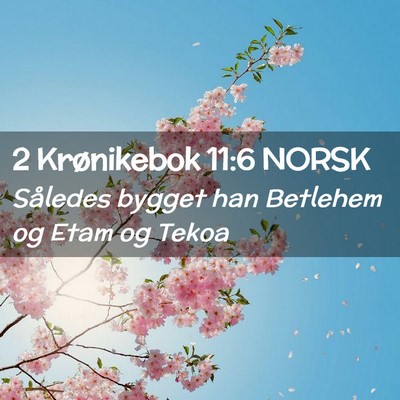Picture 02 - 2 Krønikebok 11:6 NORSK - Således bygget han Betlehem og Etam og - Bible Verse Picture