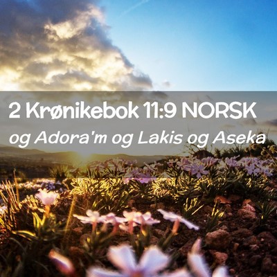 Picture 02 - 2 Krønikebok 11:9 NORSK - og Adora'm og Lakis og - Bible Verse Picture