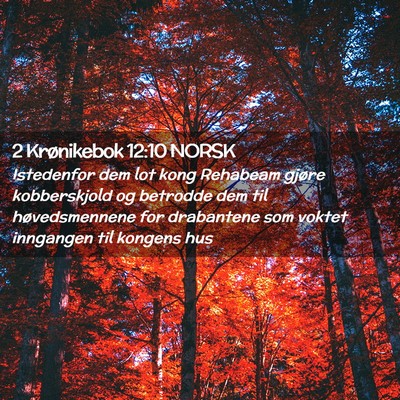 Picture 02 - 2 Krønikebok 12:10 NORSK - Istedenfor dem lot kong Rehabeam gjøre - Bible Verse Picture