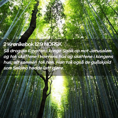 Picture 02 - 2 Krønikebok 12:9 NORSK - Så drog da Egyptens konge Sisak op mot Jerusalem - Bible Verse Picture