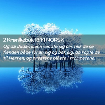 Picture 02 - 2 Krønikebok 13:14 NORSK - Og da Judas menn vendte sig om, fikk de se - Bible Verse Picture