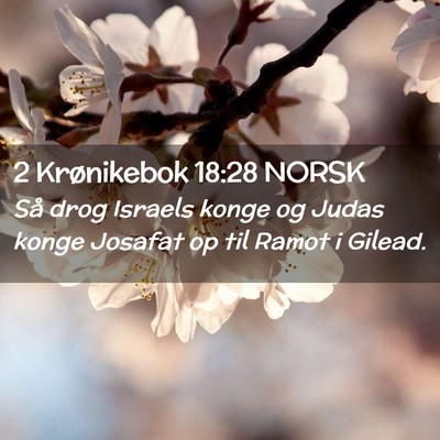 Picture 02 - 2 Krønikebok 18:28 NORSK - Så drog Israels konge og Judas konge Josafat op - Bible Verse Picture