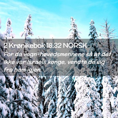 Picture 02 - 2 Krønikebok 18:32 NORSK - For da vogn-høvedsmennene så at det ikke var - Bible Verse Picture