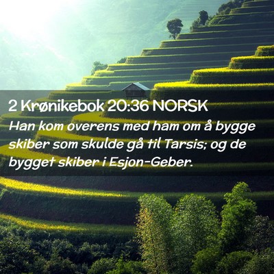 Picture 02 - 2 Krønikebok 20:36 NORSK - Han kom overens med ham om å bygge skiber som - Bible Verse Picture