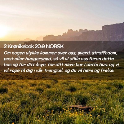 Picture 02 - 2 Krønikebok 20:9 NORSK - Om nogen ulykke kommer over oss, sverd, - Bible Verse Picture
