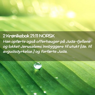 Picture 02 - 2 Krønikebok 21:11 NORSK - Han opførte også offerhauger på Juda-fjellene - Bible Verse Picture