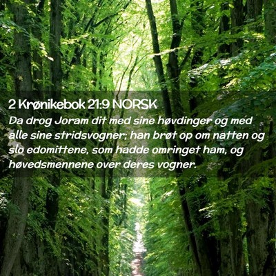 Picture 02 - 2 Krønikebok 21:9 NORSK - Da drog Joram dit med sine høvdinger og med alle - Bible Verse Picture
