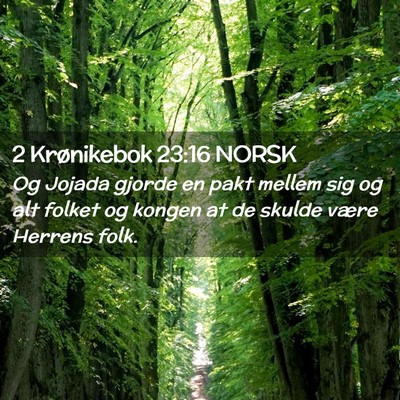 Picture 02 - 2 Krønikebok 23:16 NORSK - Og Jojada gjorde en pakt mellem sig og alt folket - Bible Verse Picture