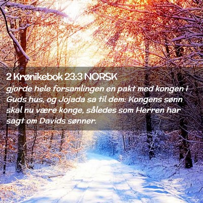 Picture 02 - 2 Krønikebok 23:3 NORSK - gjorde hele forsamlingen en pakt med kongen i - Bible Verse Picture