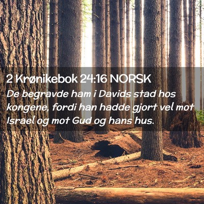 Picture 02 - 2 Krønikebok 24:16 NORSK - De begravde ham i Davids stad hos kongene, fordi - Bible Verse Picture