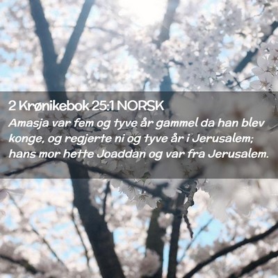 Picture 02 - 2 Krønikebok 25:1 NORSK - Amasja var fem og tyve år gammel da han blev - Bible Verse Picture