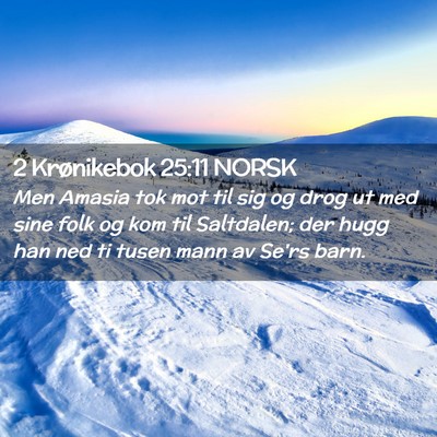 Picture 02 - 2 Krønikebok 25:11 NORSK - Men Amasia tok mot til sig og drog ut med sine - Bible Verse Picture