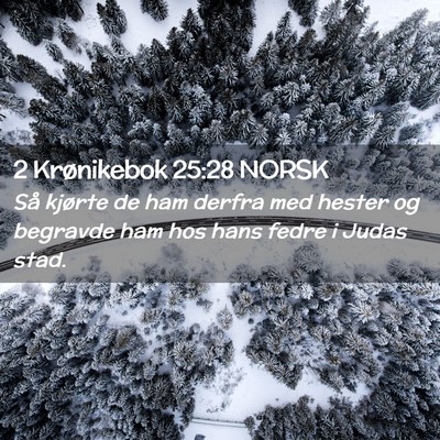 Picture 02 - 2 Krønikebok 25:28 NORSK - Så kjørte de ham derfra med hester og begravde - Bible Verse Picture
