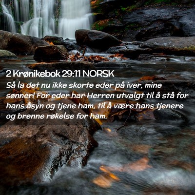 Picture 02 - 2 Krønikebok 29:11 NORSK - Så la det nu ikke skorte eder på iver, mine - Bible Verse Picture