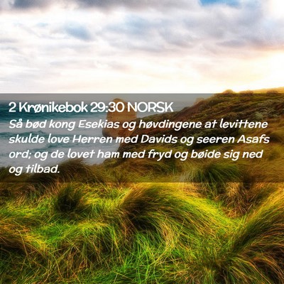 Picture 02 - 2 Krønikebok 29:30 NORSK - Så bød kong Esekias og høvdingene at levittene - Bible Verse Picture