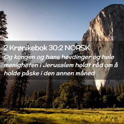 Picture 02 - 2 Krønikebok 30:2 NORSK - Og kongen og hans høvdinger og hele menigheten i - Bible Verse Picture