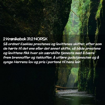 Picture 02 - 2 Krønikebok 31:2 NORSK - Så ordnet Esekias prestenes og levittenes - Bible Verse Picture