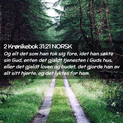 Picture 02 - 2 Krønikebok 31:21 NORSK - Og alt det som han tok sig fore, idet han søkte - Bible Verse Picture