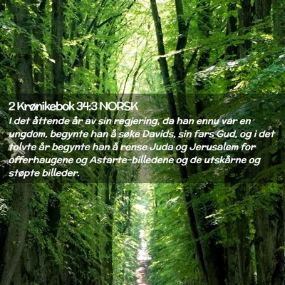Picture 02 - 2 Krønikebok 34:3 NORSK - I det åttende år av sin regjering, da han ennu - Bible Verse Picture