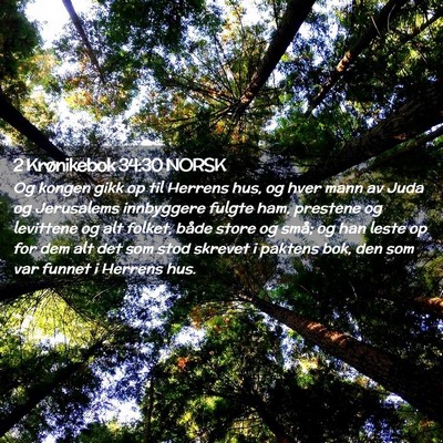 Picture 02 - 2 Krønikebok 34:30 NORSK - Og kongen gikk op til Herrens hus, og hver mann - Bible Verse Picture