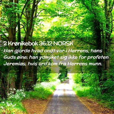 Picture 02 - 2 Krønikebok 36:12 NORSK - Han gjorde hvad ondt var i Herrens, hans Guds - Bible Verse Picture