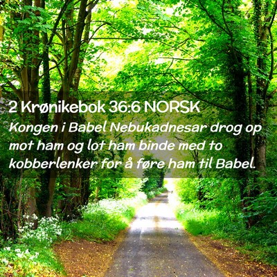 Picture 02 - 2 Krønikebok 36:6 NORSK - Kongen i Babel Nebukadnesar drog op mot ham og - Bible Verse Picture