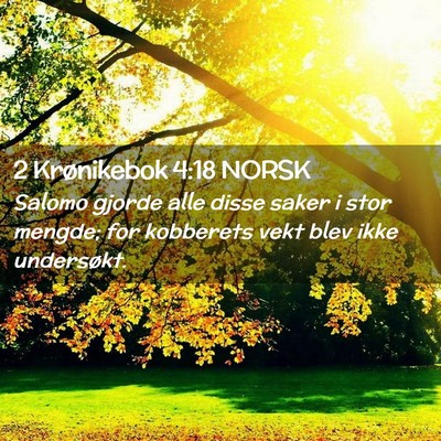 Picture 02 - 2 Krønikebok 4:18 NORSK - Salomo gjorde alle disse saker i stor mengde; for - Bible Verse Picture
