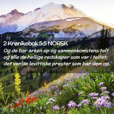 Picture 02 - 2 Krønikebok 5:5 NORSK - Og de bar arken op og sammenkomstens telt og alle - Bible Verse Picture
