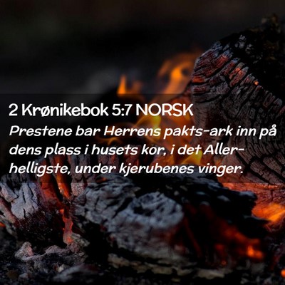 Picture 02 - 2 Krønikebok 5:7 NORSK - Prestene bar Herrens pakts-ark inn på dens plass - Bible Verse Picture