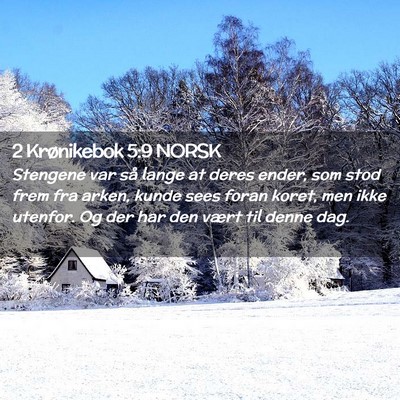 Picture 02 - 2 Krønikebok 5:9 NORSK - Stengene var så lange at deres ender, som stod - Bible Verse Picture