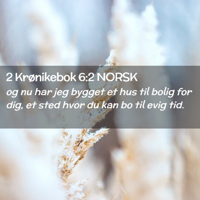 Picture 02 - 2 Krønikebok 6:2 NORSK - og nu har jeg bygget et hus til bolig for dig, et - Bible Verse Picture