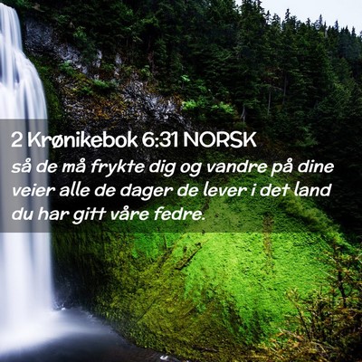 Picture 02 - 2 Krønikebok 6:31 NORSK - så de må frykte dig og vandre på dine veier - Bible Verse Picture