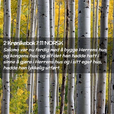 Picture 02 - 2 Krønikebok 7:11 NORSK - Salomo var nu ferdig med å bygge Herrens hus og - Bible Verse Picture