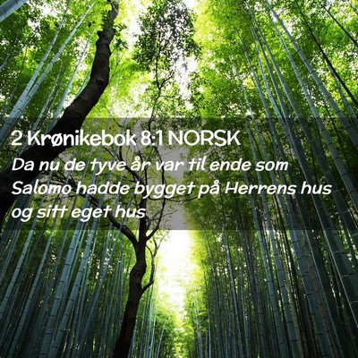 Picture 02 - 2 Krønikebok 8:1 NORSK - Da nu de tyve år var til ende som Salomo hadde - Bible Verse Picture
