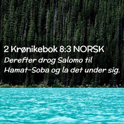 Picture 02 - 2 Krønikebok 8:3 NORSK - Derefter drog Salomo til Hamat-Soba og la det - Bible Verse Picture