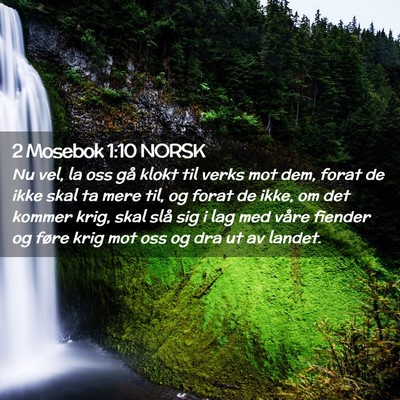 Picture 02 - 2 Mosebok 1:10 NORSK - Nu vel, la oss gå klokt til verks mot dem, forat - Bible Verse Picture