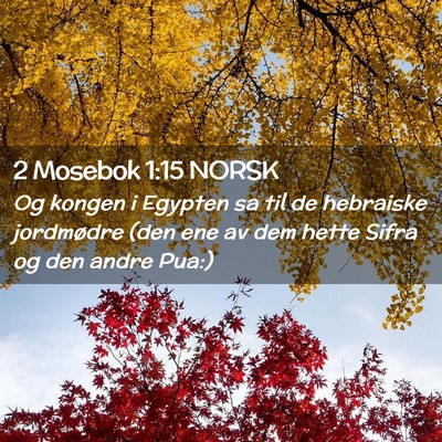 Picture 02 - 2 Mosebok 1:15 NORSK - Og kongen i Egypten sa til de hebraiske - Bible Verse Picture