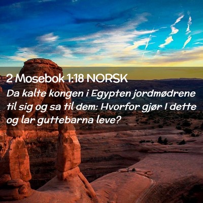 Picture 02 - 2 Mosebok 1:18 NORSK - Da kalte kongen i Egypten jordmødrene til sig og - Bible Verse Picture